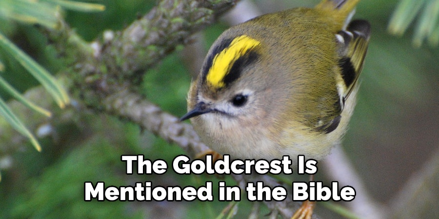 The Goldcrest Is  Mentioned in the Bible