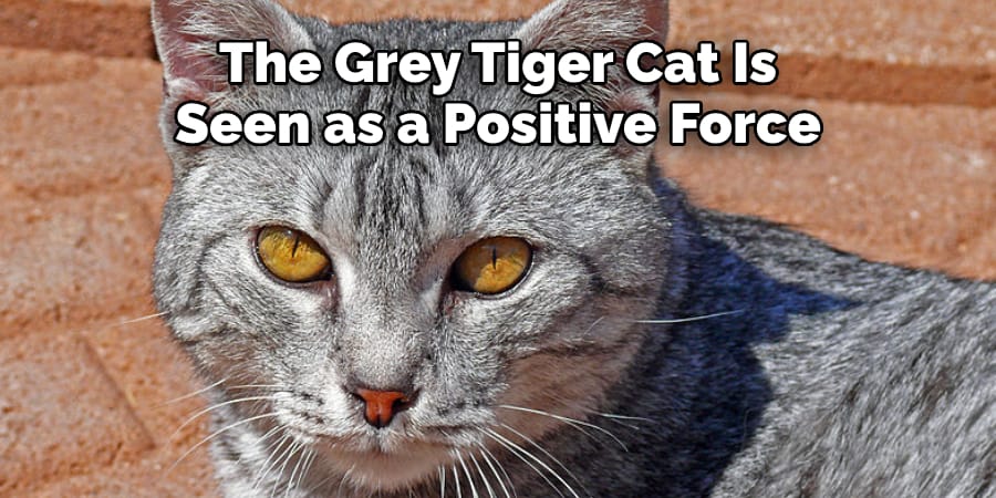The Grey Tiger Cat Is  Seen as a Positive Force 