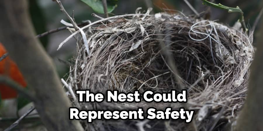 The Nest Could Represent Safety