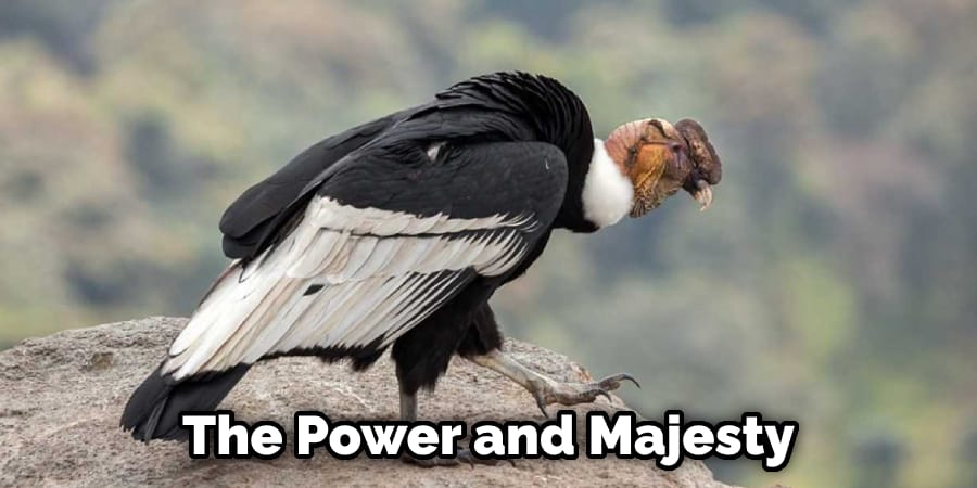 The Power and Majesty
