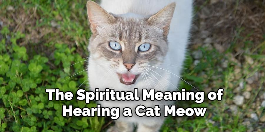 The Spiritual Meaning of  Hearing a Cat Meow