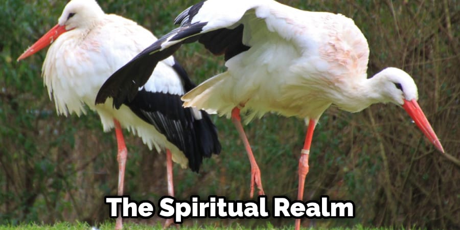The Spiritual Realm