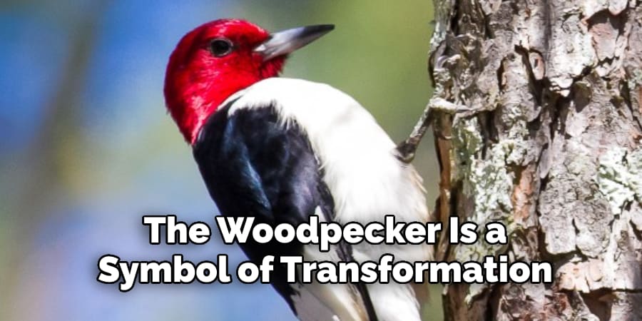 The Woodpecker Is a  Symbol of Transformation