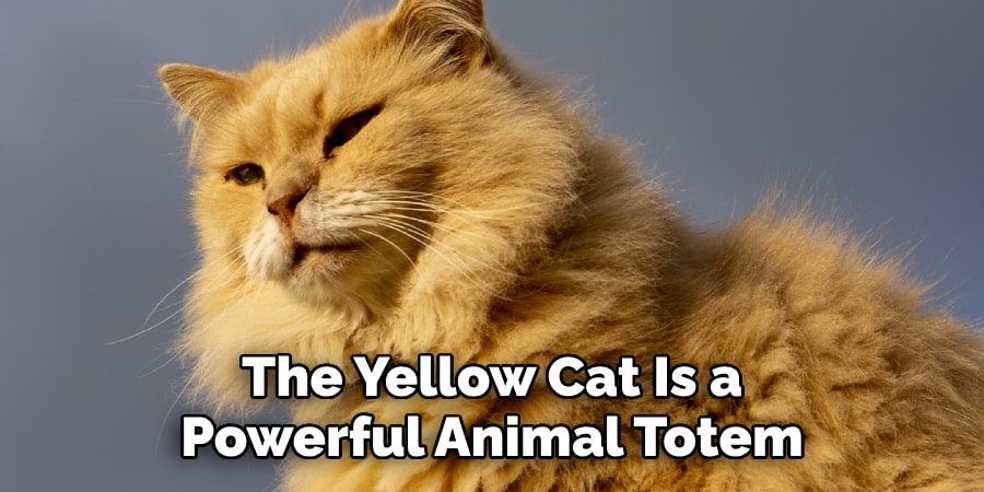 The Yellow Cat Is a  Powerful Animal Totem