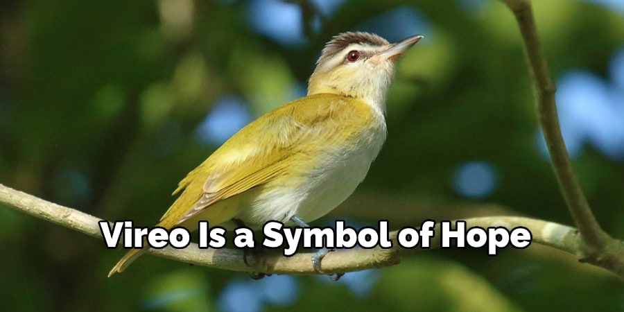 Vireo Is a Symbol of Hope 