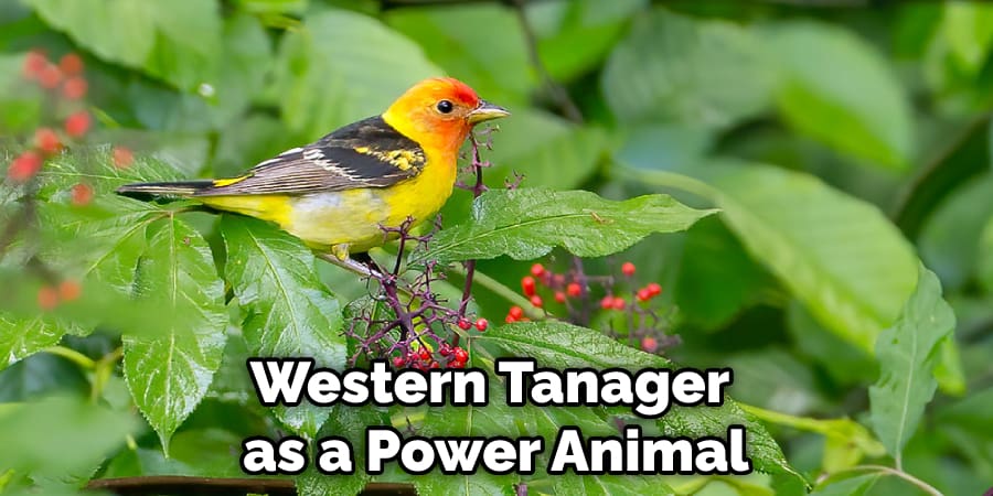 Western Tanager  as a Power Animal