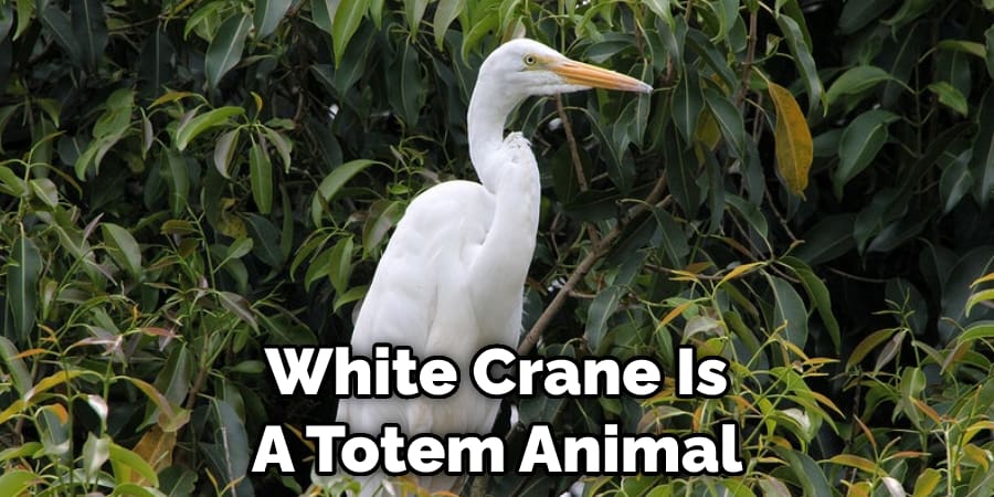 White Crane Is  A Totem Animal 