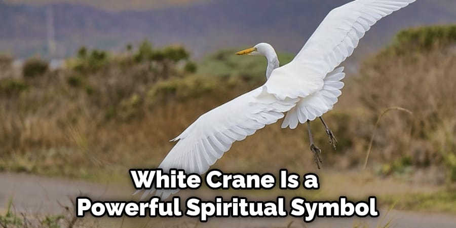 White Crane Is a  Powerful Spiritual Symbol