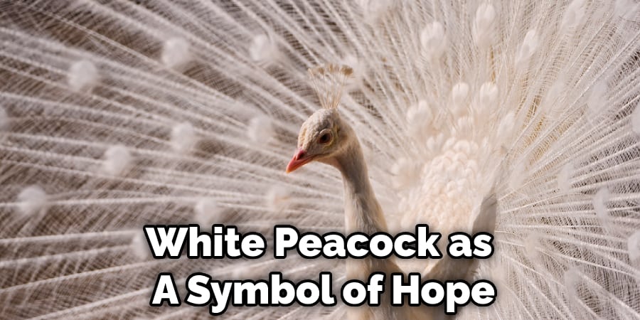 White Peacock as  A Symbol of Hope