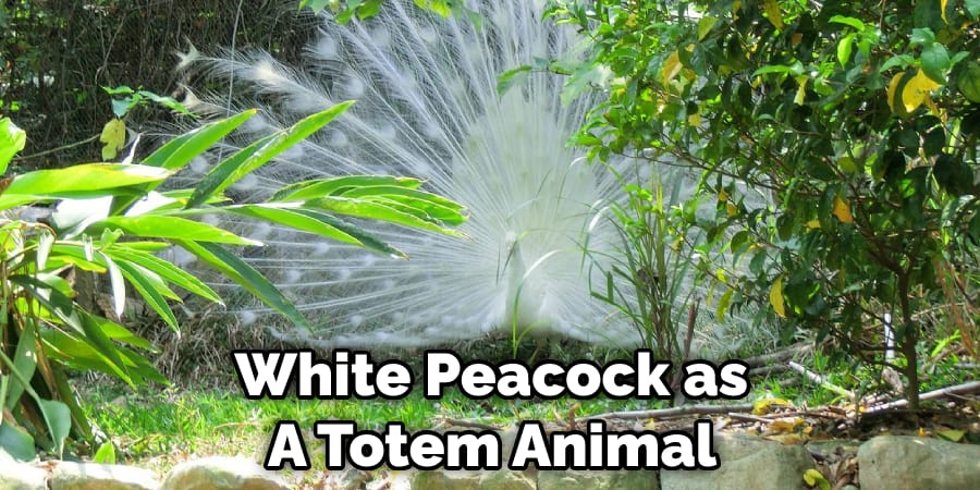 White Peacock as  A Totem Animal 