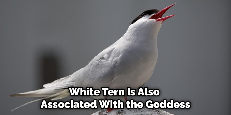 White Tern Is Also  Associated With the Goddess