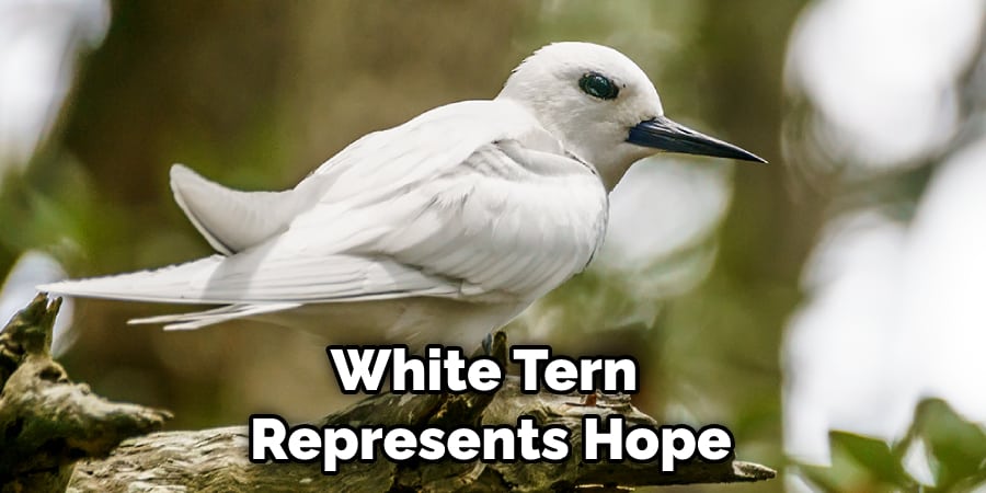 White Tern  Represents Hope