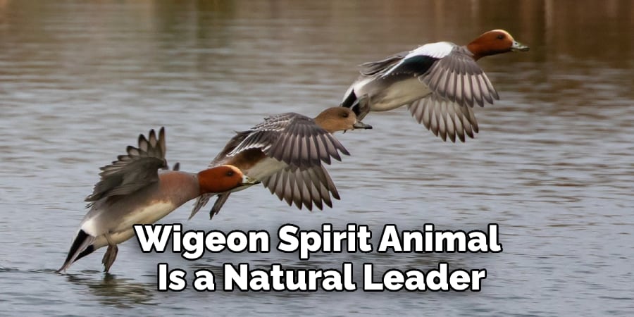 Wigeon Spirit Animal  Is a Natural Leader