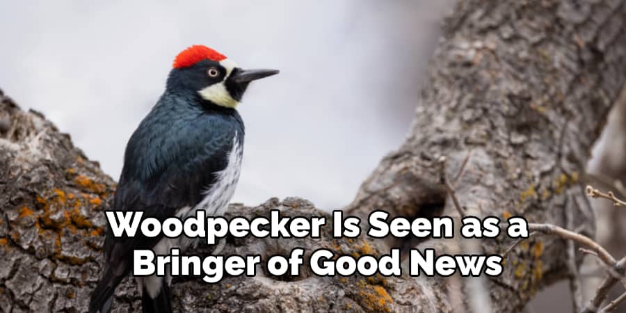 Woodpecker Is Seen as a  Bringer of Good News