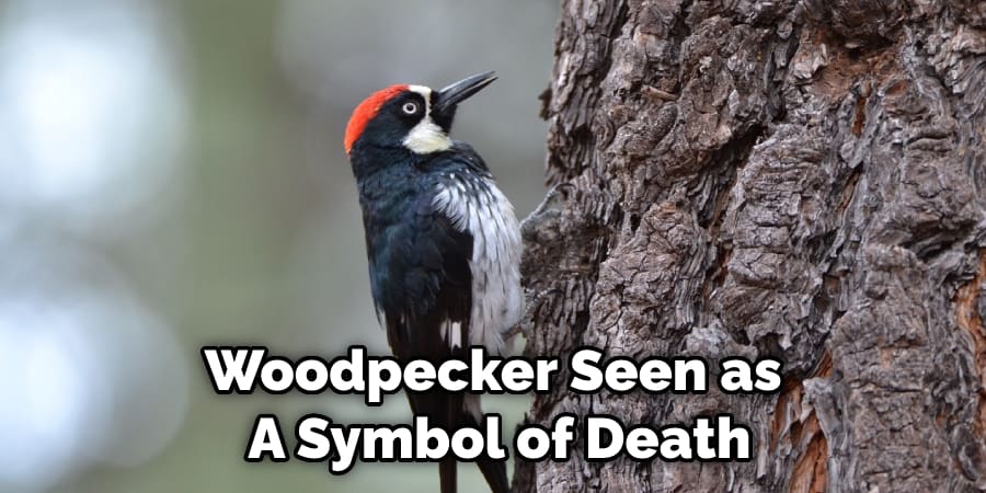 Woodpecker Seen as  A Symbol of Death