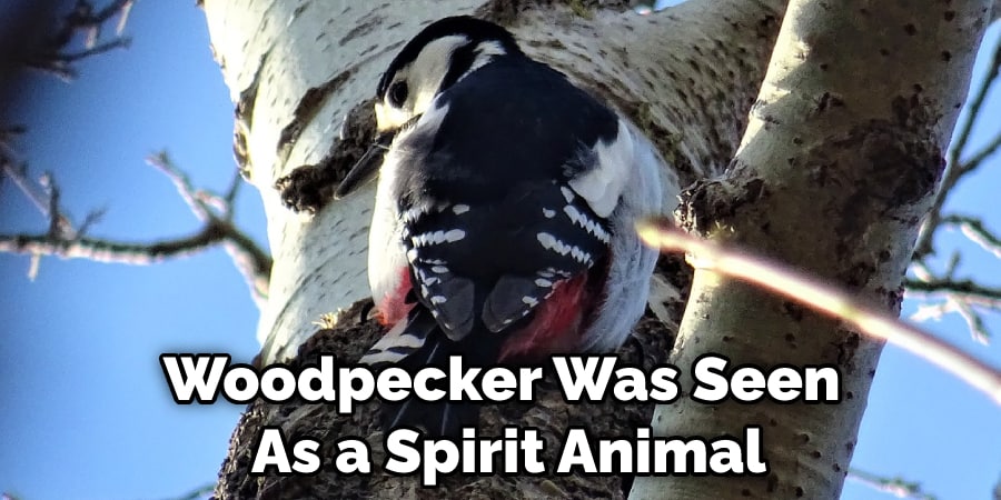 Woodpecker Was Seen  As a Spirit Animal