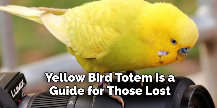 Yellow Bird Totem Is a  Guide for Those Lost