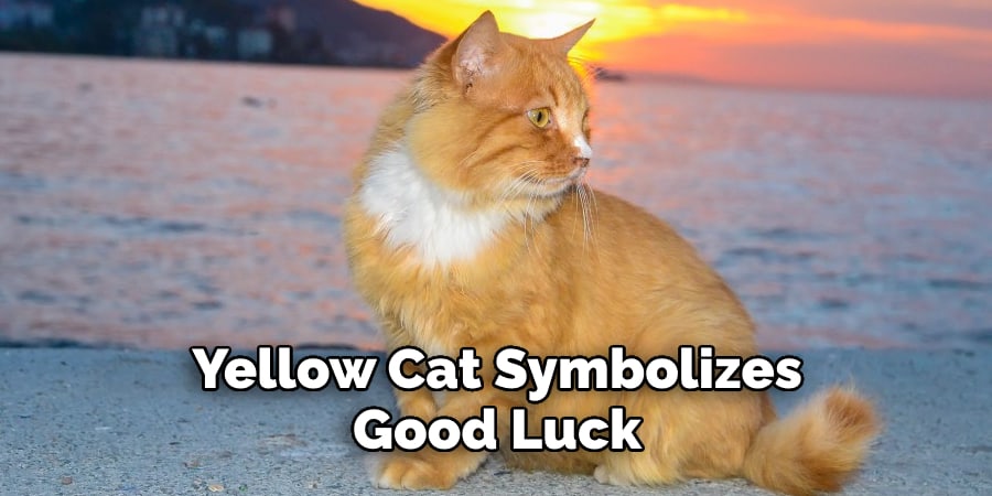 Yellow Cat Symbolizes  Good Luck