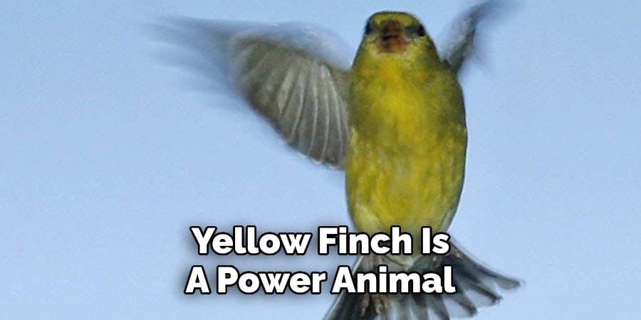 Yellow Finch Is A Power Animal