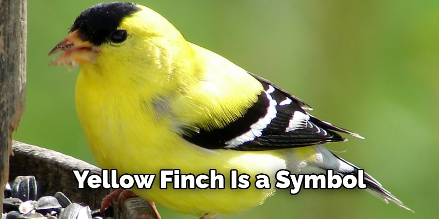 Yellow Finch Is Also a Symbol
