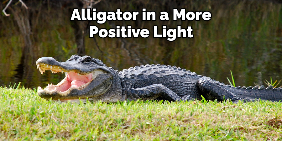 Alligator in a More  Positive Light