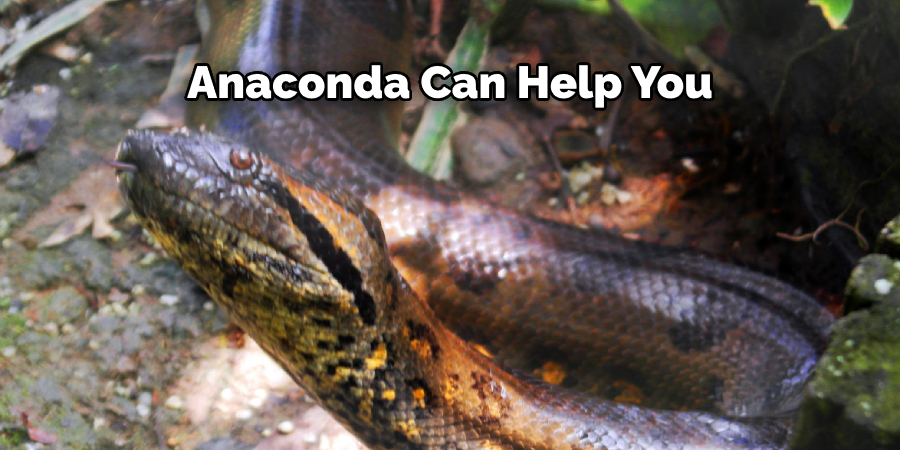 Anaconda Can Help You