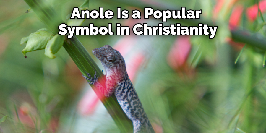 Anole Is a Popular  Symbol in Christianity