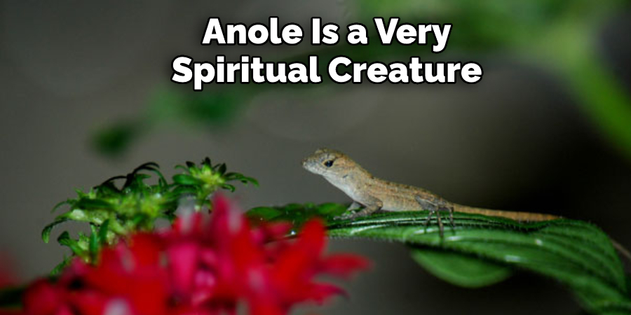Anole Is a Very Spiritual Creature