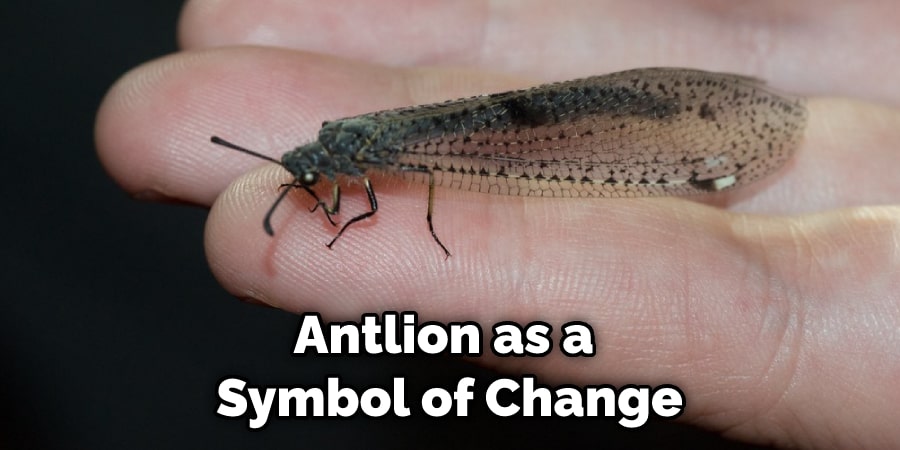 Antlion as a  Symbol of Change