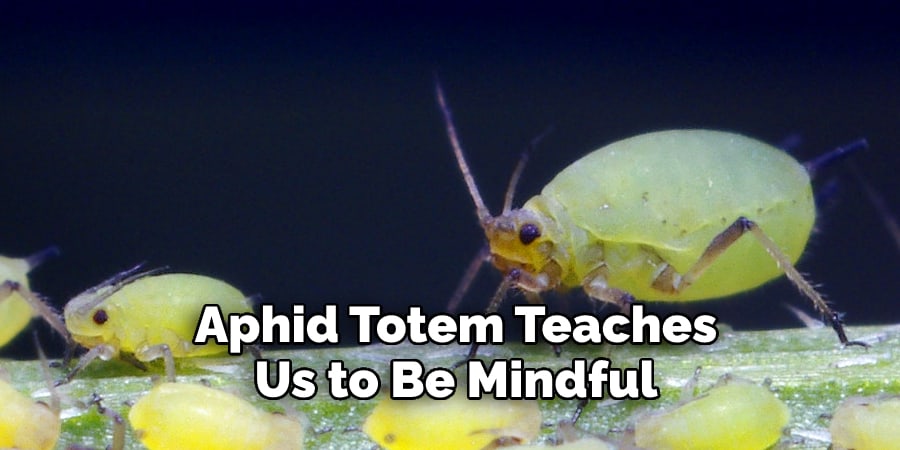 Aphid Totem Teaches Us to Be Mindful