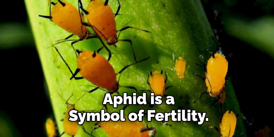 Aphid is a  Symbol of Fertility.