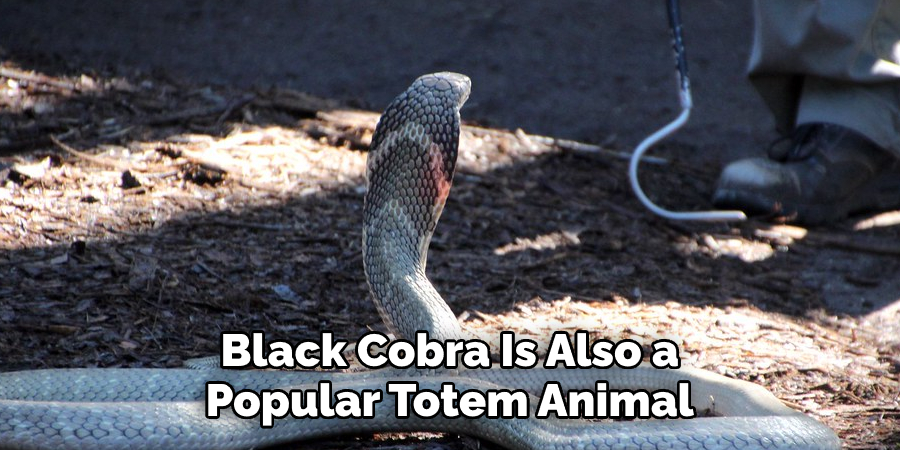 Black Cobra Is Also a Popular Totem Animal