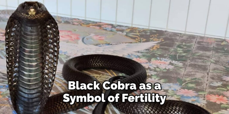 Black Cobra Spiritual Meaning, Symbolism, And Totem (2022)