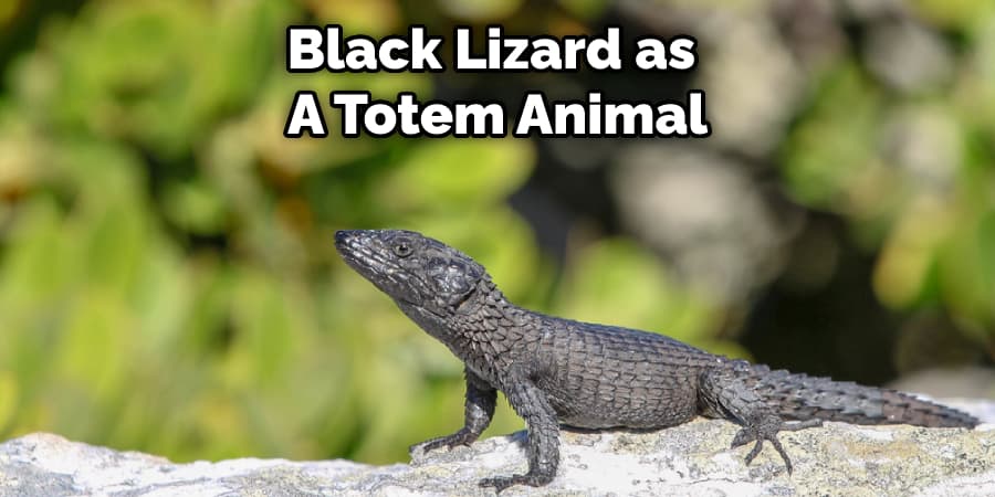 Black Lizard as  A Totem Animal