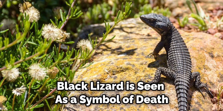 Black Lizard is Seen  As a Symbol of Death