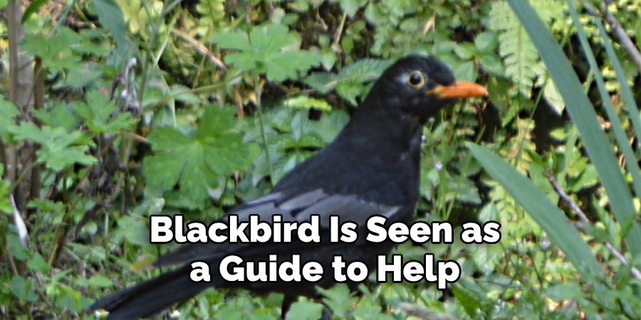 Blackbird Is Seen as a Guide to Help
