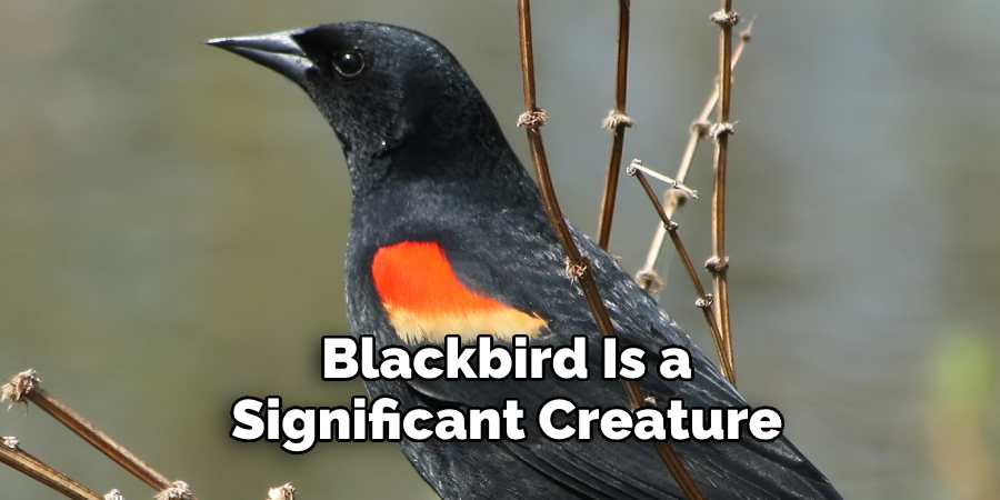 Blackbird Is a Significant Creature