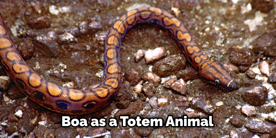 Boa as a Totem Animal