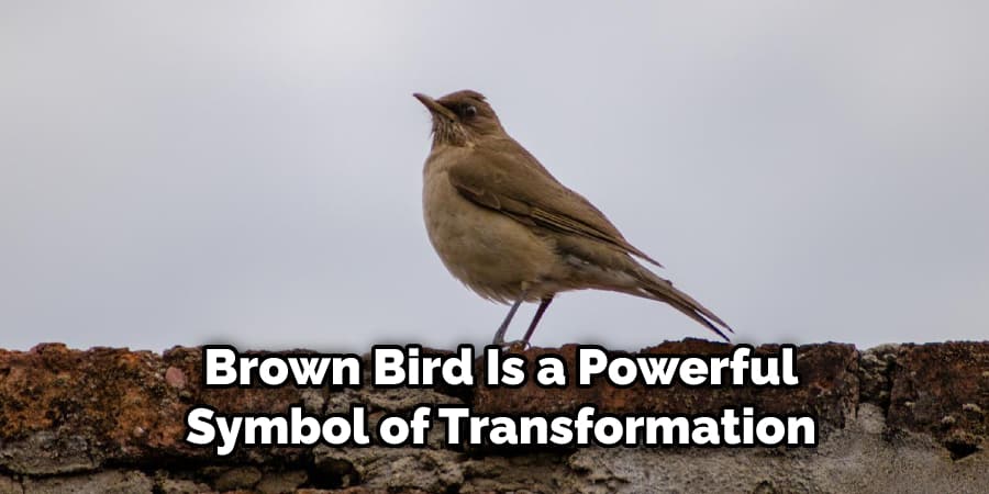 Brown Bird Is a Powerful  Symbol of Transformation