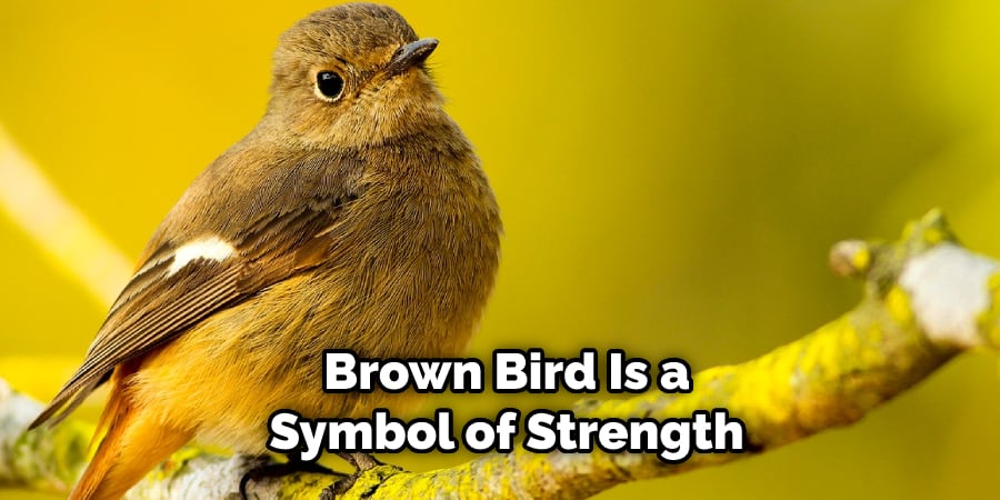 Brown Bird Is a  Symbol of Strength