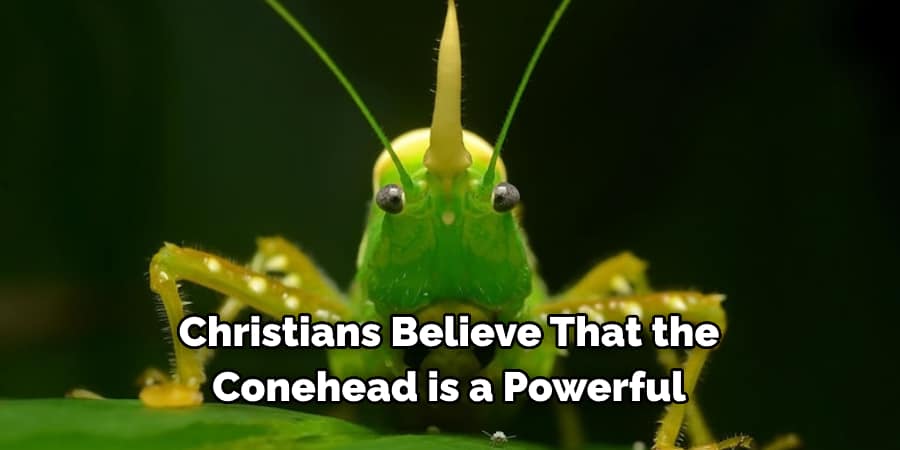 Christians Believe That the  Conehead is a Powerful