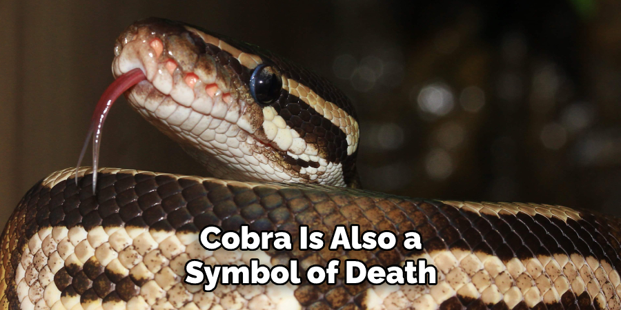 Cobra Is Also a Symbol of Death