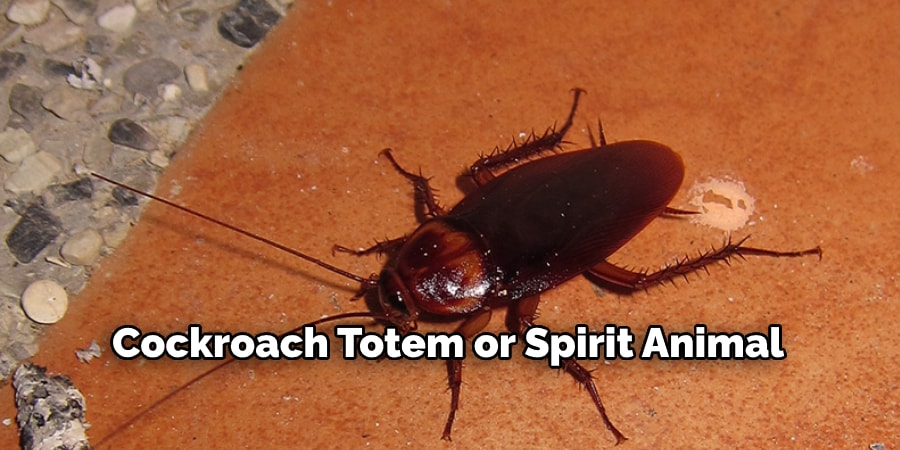  Cockroach Totem or Spirit Animal