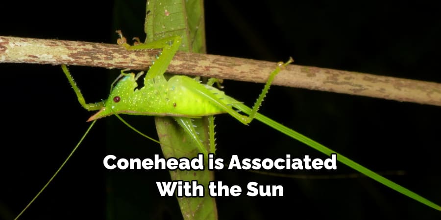 Conehead is Associated With the Sun