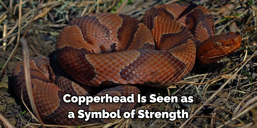 Copperhead Is Seen as a Symbol of Strength