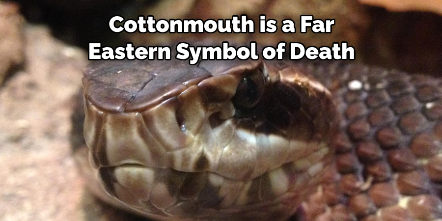 Cottonmouth is a Far Eastern Symbol of Death