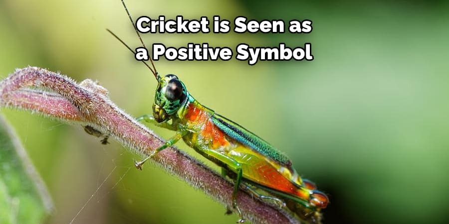 Cricket is Seen as a Positive Symbol
