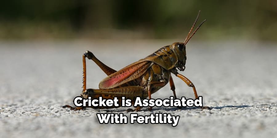 Cricket is also associated with fertility