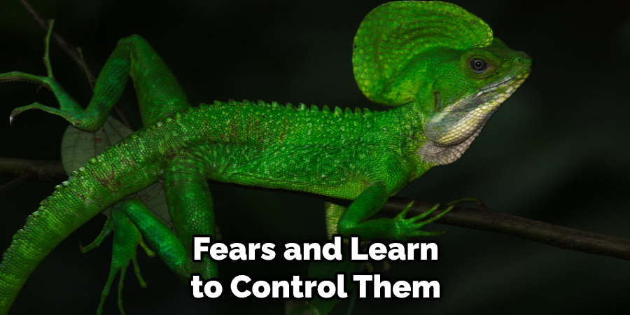 Fears and Learn to Control Them