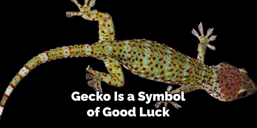 Gecko Is a Symbol of Good Luck